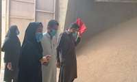 تأکید بر سلامت و کیفیت آرد در شرایط ویژه کشور؛ بازدید نظارتی از کارخانه آرد تعاونی شماره ۹ انجام شد
